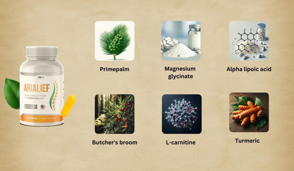 arialief ingredients